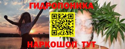 стаф Жуковский